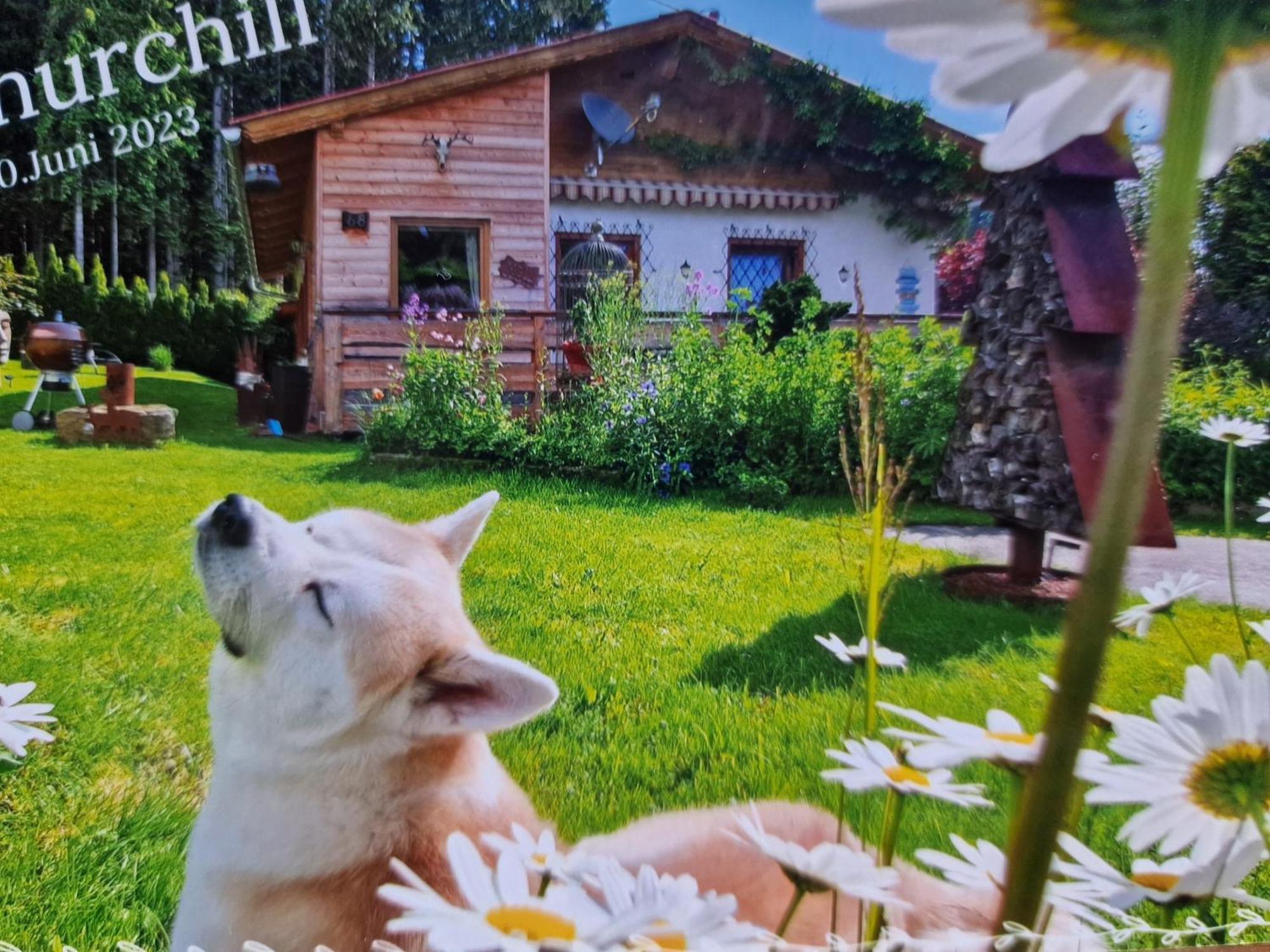 Knusperhäuschen Maria Nikoletta Villa Witra Exteriör bild